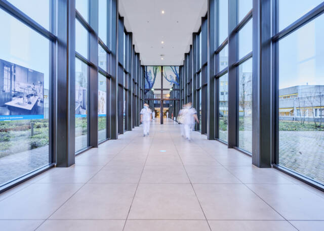 Deskundige Antimicrobial Stewardship (DAS)